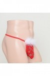 wjiNFDFG Shorts en Flanelle String Sexy Taille Basse Sexy Slip sous Vêtement Sexy Red, One Size 