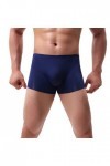 Junhasgood Hommes Transparent Mesh Quadrangle Pantalon Plat Pantalon Sexy Pantalon Culotte Lingerie Sexy Hot Ouverte a-Blue,