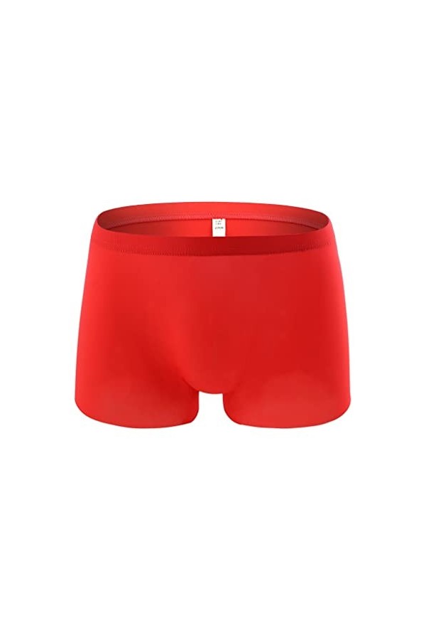 Junhasgood Hommes Transparent Mesh Quadrangle Pantalon Plat Pantalon Sexy Pantalon Culotte Lingerie Sexy Hot Ouverte a-Red, 