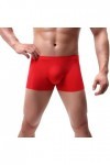 Junhasgood Hommes Transparent Mesh Quadrangle Pantalon Plat Pantalon Sexy Pantalon Culotte Lingerie Sexy Hot Ouverte a-Red, 
