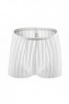 Générique Lingerie Homme Sexy Hot Boxers pour Hommes Culottes Sexy Interband Respirant Briefs Striped Clear Mesh Boxers Brief