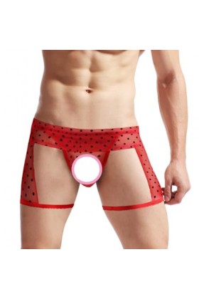 BreakEgg Sous-vêtements en dentelle pour homme - String en dentelle - Sous-vêtements sexy, Tzy804t-Rouge, taille unique