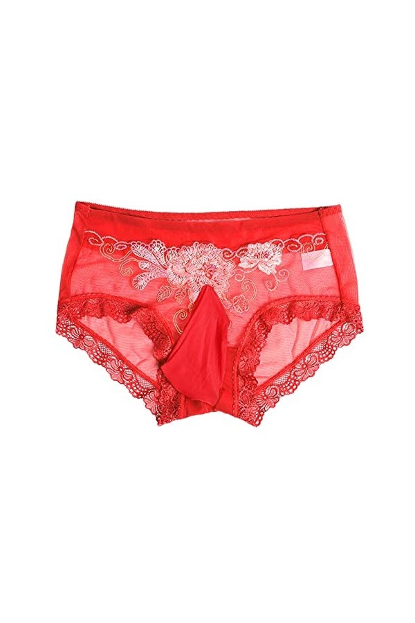 Générique Plein Montant pour Hommes Slips Respirants en Dentelle Sexy Slips Sexy Ultra Minces entièrement Transparents Red, 