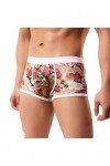 BIISDOST Lingerie Dentelle Sexy Briefs Respirants sous-vêtements Hommes Culottes de Boxe Culottes pour Hommes sous-vêtements 
