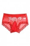Générique Plein Montant pour Hommes Slips Respirants en Dentelle Sexy Slips Sexy Ultra Minces entièrement Transparents Red, 
