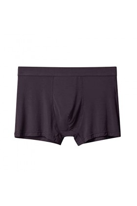 FGUUTYM Soie Homme Sous-Vêtements Hommes Sous-Vêtements Sexy Sous-Vêtements Coton Sexy Respirant Sous-Vêtements Slips pour Ho