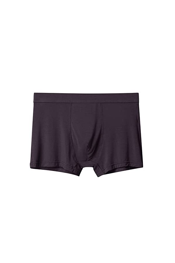 FGUUTYM Soie Homme Sous-Vêtements Hommes Sous-Vêtements Sexy Sous-Vêtements Coton Sexy Respirant Sous-Vêtements Slips pour Ho