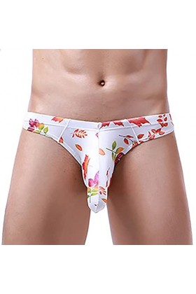 Lingerie Femme Sexy Ensemble Homme Sexy Hot y*2k Culottes de Mode Masculine Culottes Sexy Ride Up Briefs Underwear Pant Robe 