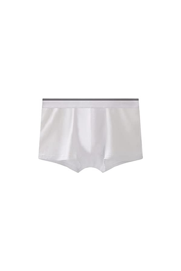 Lingerie Homme Sexy Hot sous-vêtements Taille Boxer pour Hommes Bandes Confortables Grandes Tailles élastiques sous-vêtements