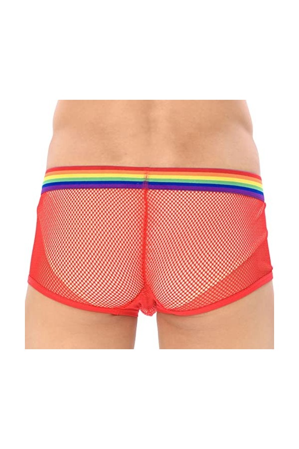 Générique Lingerie Homme Sexy Hot Slips pour Hommes Culottes à Grille Sexy pour Hommes Slips de Ceinture Arc-en- sous-vêtemen