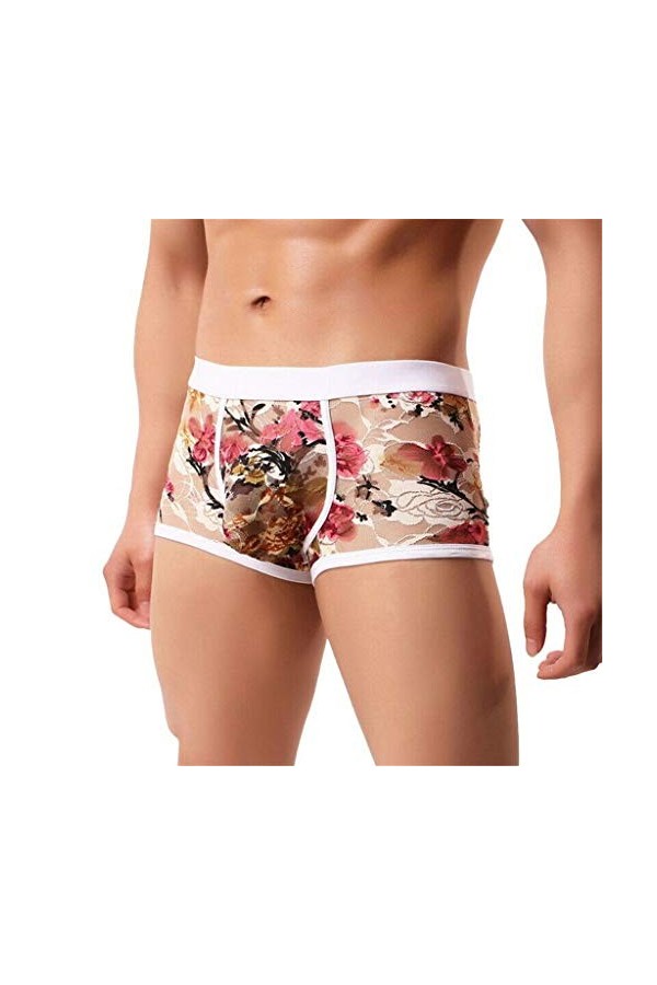 BIISDOST Lingerie Dentelle Sexy Briefs Respirants sous-vêtements Hommes Culottes de Boxe Culottes pour Hommes sous-vêtements 