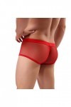 Junhasgood Hommes Transparent Mesh Quadrangle Pantalon Plat Pantalon Sexy Pantalon Culotte Lingerie Sexy Hot Ouverte b-Red, 