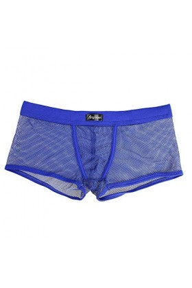 Junhasgood Hommes Transparent Mesh Quadrangle Pantalon Plat Pantalon Sexy Pantalon Culotte Lingerie Sexy Hot Ouverte b-Blue.
