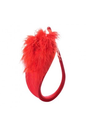 Dinnesis Costume pour femme Sous-vêtements sexy G-string entrejambe Bikini Lingerie, multicolore, taille unique