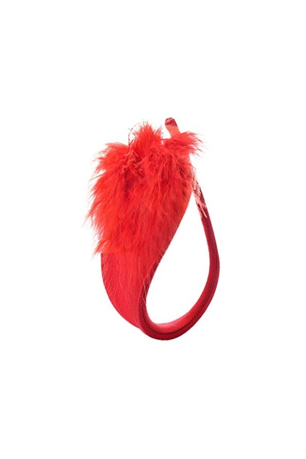 Dinnesis Costume pour femme Sous-vêtements sexy G-string entrejambe Bikini Lingerie, multicolore, taille unique