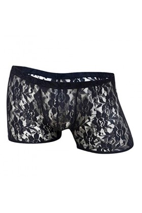 String Homme Sexy Hot Dentelle Slips Boxer Dentelle transparente taille sous-vêtements maillage sexy bas Boyshort Rose sous-v