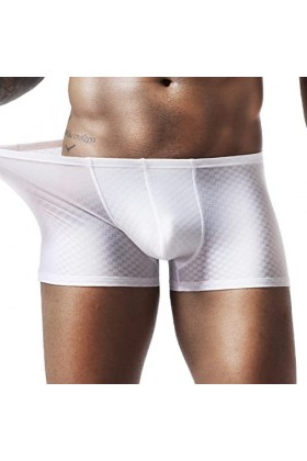 Sexy pour homme Summer Thin Transparent Ice Silk Boxer respirant pour homme Taille non-sous-vêtements Sous-vêtements en soie 