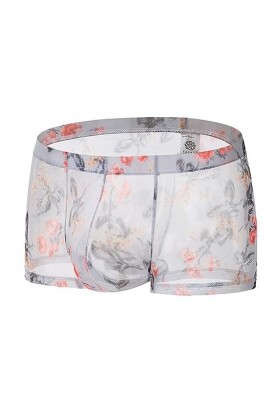 Générique Boxer Transparent en Maille Confortable pour Hommes sous-vêtement Sexy en Soie glacée Slip Taille Basse Transparent