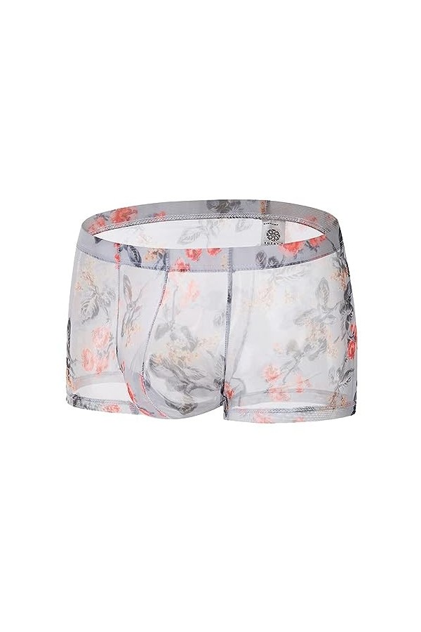 Générique Boxer Transparent en Maille Confortable pour Hommes sous-vêtement Sexy en Soie glacée Slip Taille Basse Transparent