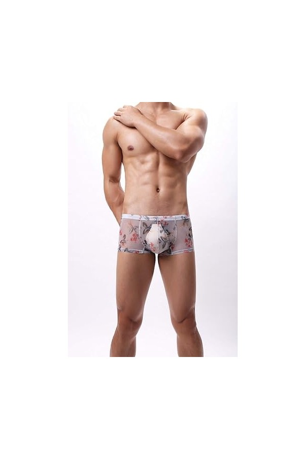 Générique Boxer Transparent en Maille Confortable pour Hommes sous-vêtement Sexy en Soie glacée Slip Taille Basse Transparent