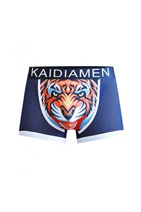 FGUUTYM Sous-vêtements dété 2023 pour homme - En soie glacée - Style coréen respirant - Style coréen - Style tendance, bleu,