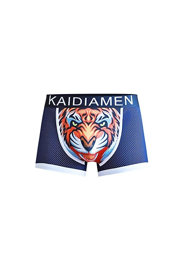 FGUUTYM Sous-vêtements dété 2023 pour homme - En soie glacée - Style coréen respirant - Style coréen - Style tendance, bleu,