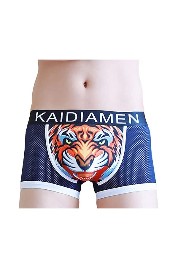 FGUUTYM Sous-vêtements dété 2023 pour homme - En soie glacée - Style coréen respirant - Style coréen - Style tendance, bleu,