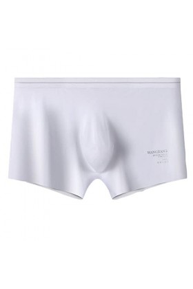 Dressnu Ice Silk Culottes en soie haute élasticité pour homme Boxer léger et confortable, BLANC, XL