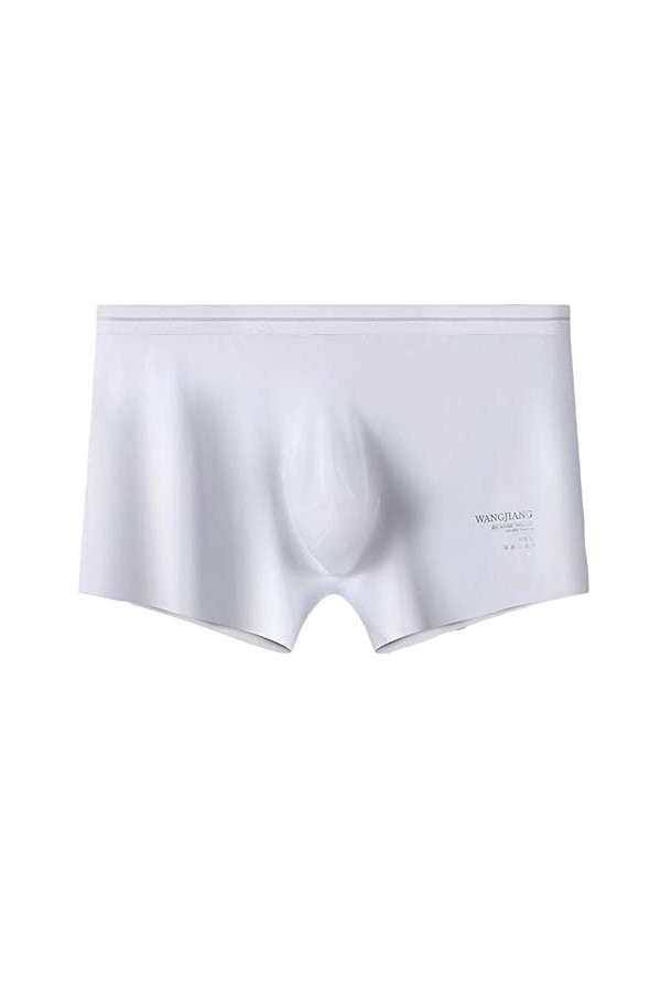Dressnu Ice Silk Culottes en soie haute élasticité pour homme Boxer léger et confortable, BLANC, XL
