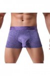 Short sous-vêtement doux pour homme Culotte sexy Sous-vêtements pour homme Sous-vêtements une pièce, lilas, S