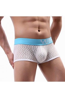 LANSKIRT Culotte Boxer Homme Taille Régulière Hommes Sexy Dentelle sous-vêtements Shorts Slip Slips Slips Culottes String Hom