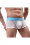LANSKIRT Culotte Boxer Homme Taille Régulière Hommes Sexy Dentelle sous-vêtements Shorts Slip Slips Slips Culottes String Hom