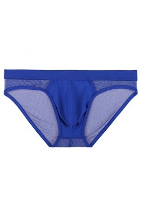 Sous-vêtement sexy pour homme, bleu, L