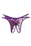 UOWEG sous-vêtements Dentelle Culotte Femmes Dames Sexy Thong Briefs Thong Pants Lingerie Halloween Sexy Purple, One Size 