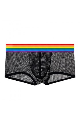 Lingerie Femme Sexy Ensemble Homme Sexy Hot y2*k Slips pour Hommes Culottes à Grille Sexy pour Hommes Slips de Ceinture Arc-e