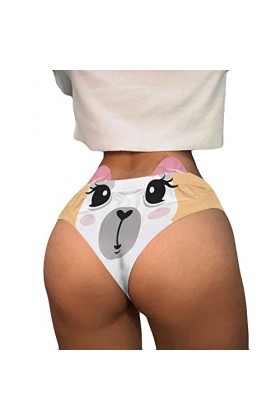 Lingerie Femme Sexy Ensemble Homme Sexy Hot y*2k sous-vêtements de Queue de Taille Moyenne danimaux imprimés en 3D pour Femm