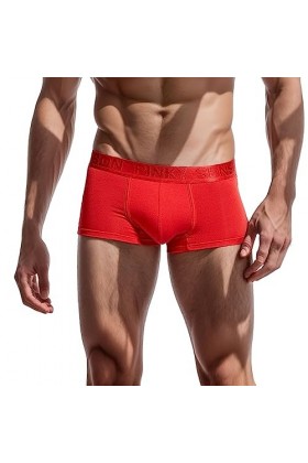 Générique String Homme Sexy Hot Dentelle Slips Boxer Short bombé Lettre sous-vêtements Hommes Sexy Boxer Pouch Slip Briefs im