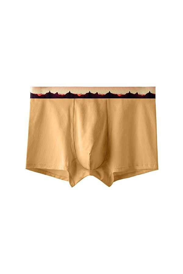 String Homme Sexy Hot Dentelle Slips Boxer Nouvelles Culottes pour Hommes en Coton antibactériens Pantalons 3D personnalité S