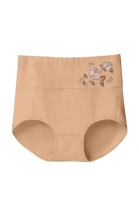 Femme Couleur Unie Taille Haute Imprimé Fleuri Grande Taille Lâche Confortable Coton Matière sous-vêtement décontracté Brassi