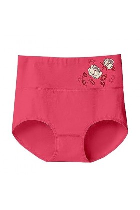 Femme Couleur Unie Taille Haute Imprimé Fleuri Grande Taille Lâche Confortable Coton Matière sous-vêtement décontracté Brassi