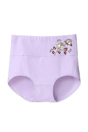 Femme Couleur Unie Taille Haute Imprimé Fleuri Grande Taille Lâche Confortable Coton Matière sous-vêtement décontracté Brassi