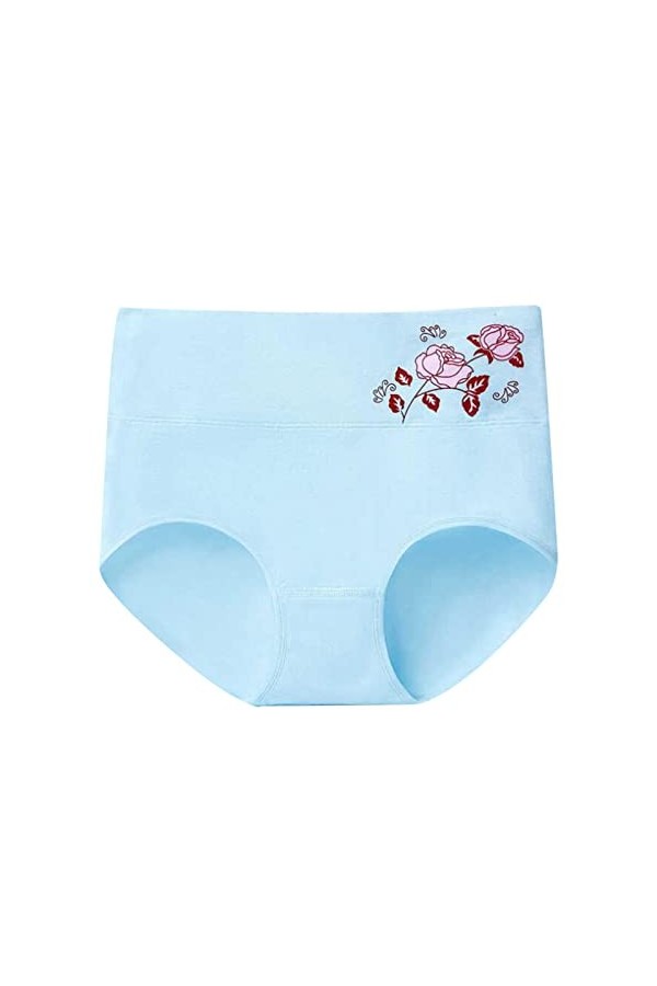 Femme Confortable Culotte en Dentelle Stretch Slip Culotte Taille Haute sans Couture Fraîche Femme Sexy Femmes Culottes À Nœu