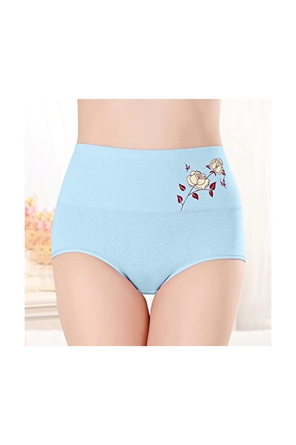 Femme Confortable Culotte en Dentelle Stretch Slip Culotte Taille Haute sans Couture Fraîche Femme Sexy Femmes Culottes À Nœu