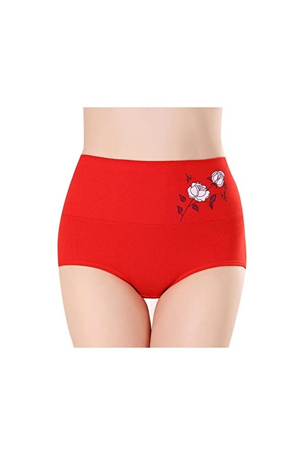 Femme Confortable Culotte en Dentelle Stretch Slip Culotte Taille Haute sans Couture Fraîche Femme Sexy Femmes Culottes À Nœu