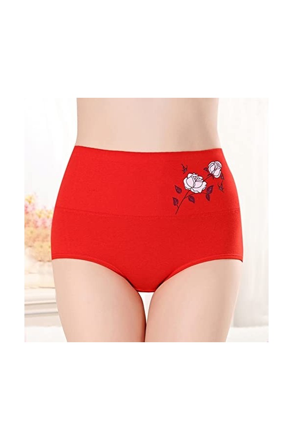 Femme Confortable Culotte en Dentelle Stretch Slip Culotte Taille Haute sans Couture Fraîche Femme Sexy Femmes Culottes À Nœu