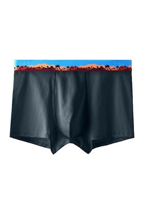 String Homme Sexy Hot Dentelle Slips Boxer Nouvelles Culottes pour Hommes en Coton antibactériens Pantalons 3D personnalité S