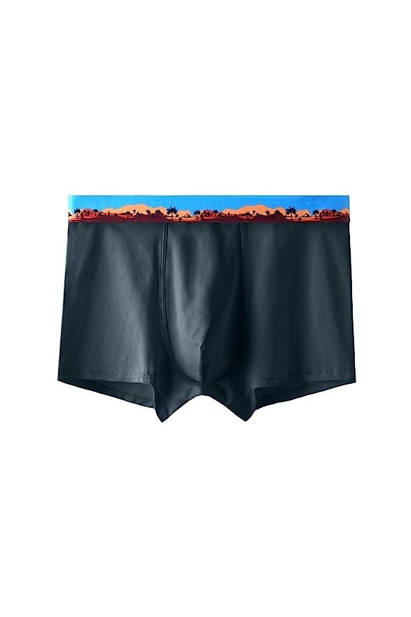 String Homme Sexy Hot Dentelle Slips Boxer Nouvelles Culottes pour Hommes en Coton antibactériens Pantalons 3D personnalité S