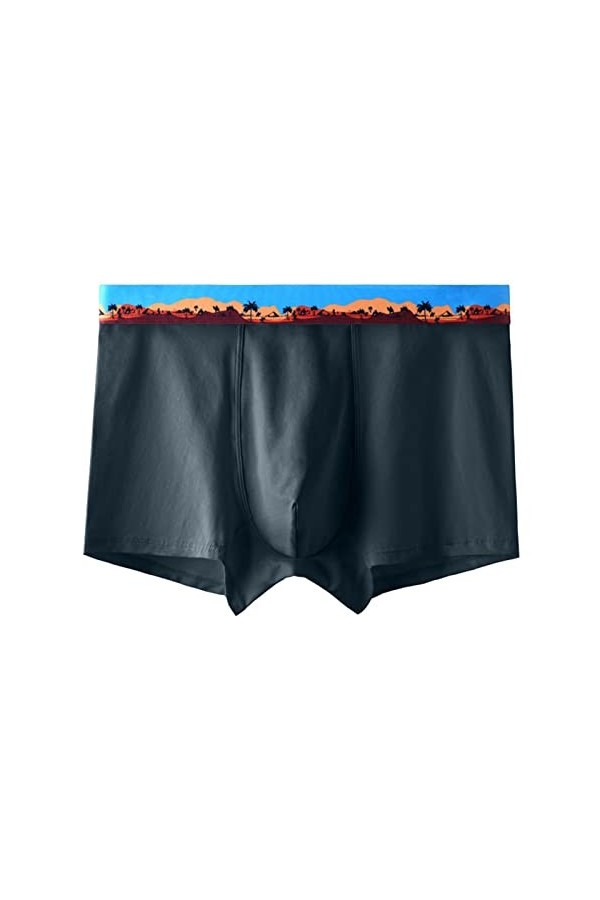 String Homme Sexy Hot Dentelle Slips Boxer Nouvelles Culottes pour Hommes en Coton antibactériens Pantalons 3D personnalité S