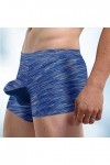 Générique Boxer Homme Maillot de Bain Sexy Briefs Thong Boxers pour Hommes High Slit Respirant Mesh Boxers Large Size Striped