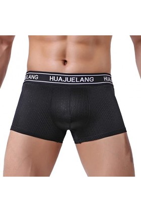 Générique Hommes Transparent Mesh Quadrangle Pantalon Plat Pantalon Sexy Pantalon Culotte Lingerie Sexy Hot Ouverte Black-A,